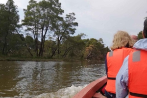 Tirana / Durrës: UNESCO-byen Berat og Karavasta Nationalpark