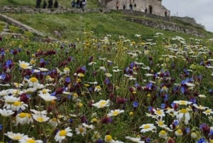 Tirana / Durrës: UNESCO-byen Berat og Karavasta Nationalpark