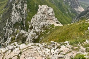Tirana/Durres: Jezioro Bovilla i Góra Wycieczka off-road 4x4 na Gamti