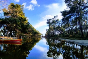 Tirana / Durrës: Berat UNESCO City & Karavasta National Park