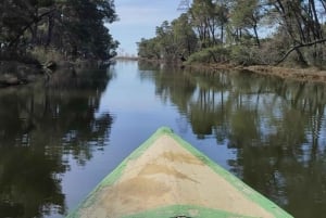 Tirana / Durrës: Berat UNESCO City & Karavasta National Park