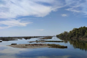 Tirana / Durrës: Berat UNESCO City & Karavasta National Park