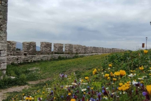 Tirana / Durrës: Berat UNESCO City & Karavasta National Park