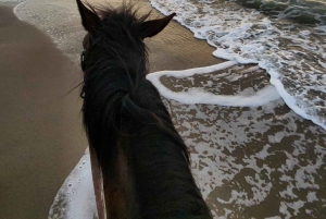 Tirana/Durrës: Fllakë Beach Escape and Optional Horse Ride