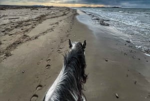 Tirana/Durrës: Fllakë Beach Escape and Optional Horse Ride
