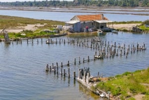 Tirana/Durres/Golem: Divjaka & Karavasta lagoon with Lunch