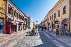 Tirana/Durres/Golem to Shkodra City & Lake Day Tour