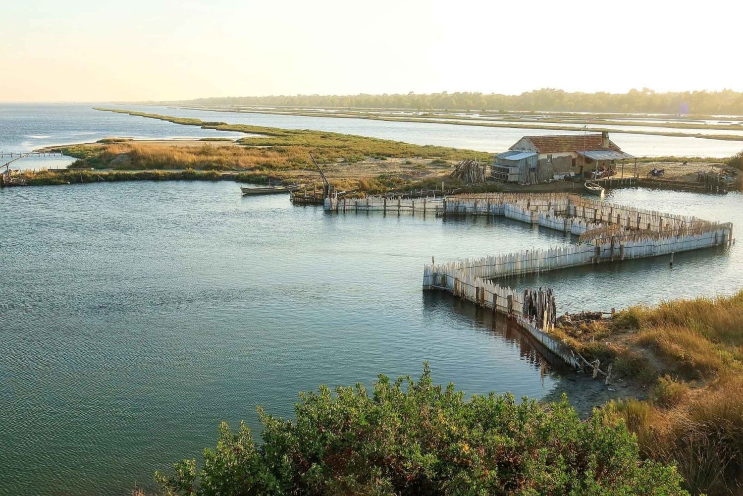 Tirana & Durres :Karavasta Lagoon & Apolonia aamiaisella