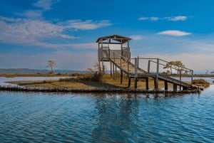 Tirana & Durres :Karavasta Lagoon & Apolonia aamiaisella