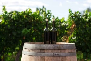 Tirana & Durres, Wine and food tour in a local Vineyard