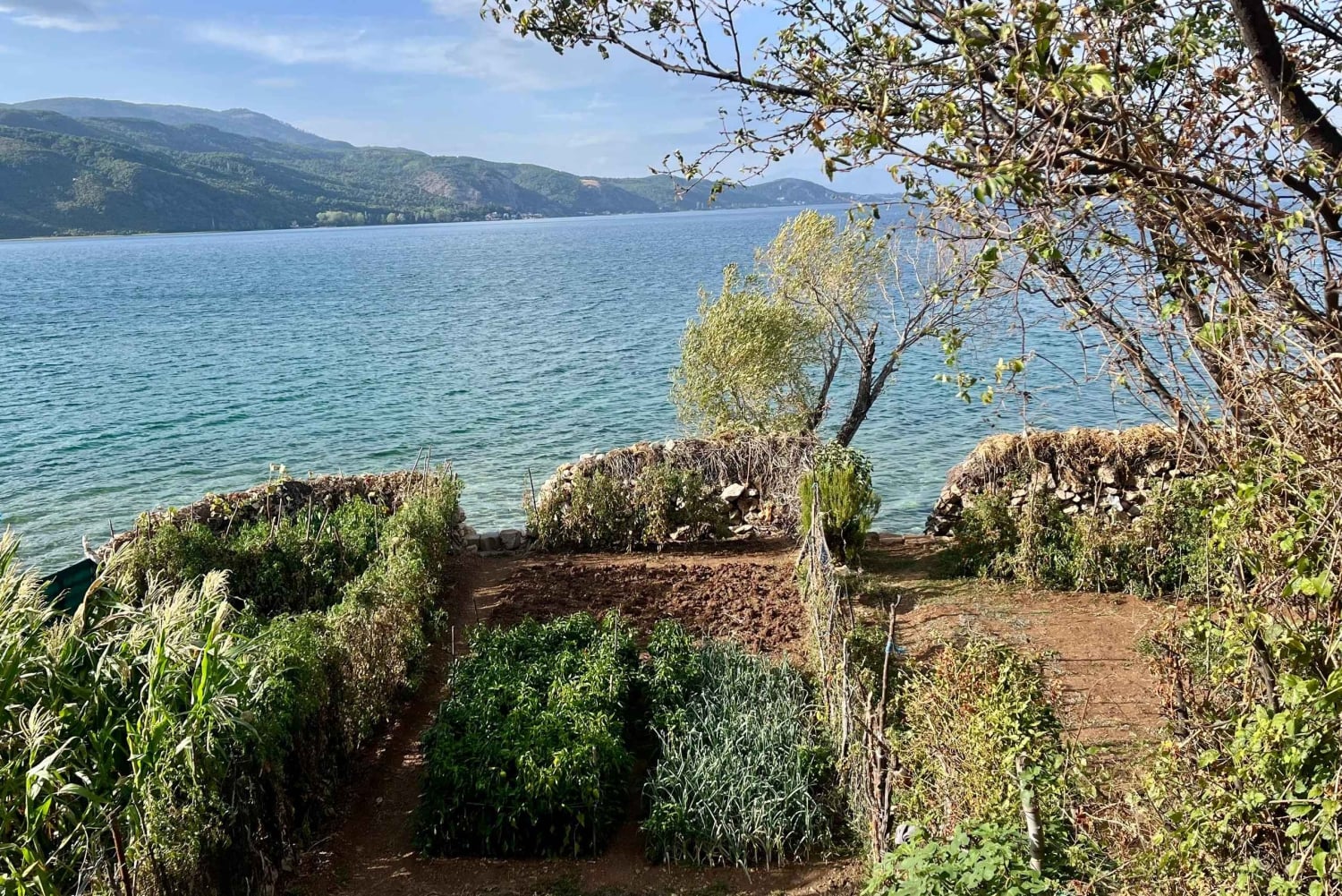 Tirana: tour della Fortezza di Elbasan, del villaggio di Lin e del lago di Ocrida