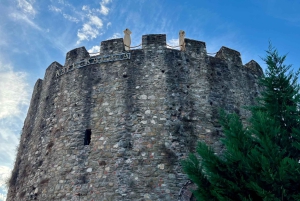 Tirana: tour della Fortezza di Elbasan, del villaggio di Lin e del lago di Ocrida