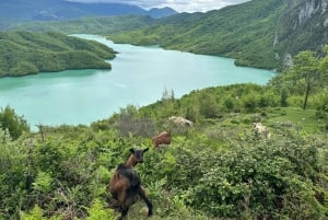 Tirana: Bovilla Lake and Gamti Mountain Hiking Tour