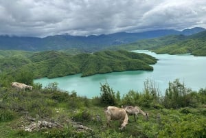 Tirana: Bovilla Lake and Gamti Mountain Hiking Tour