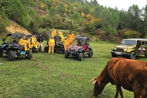 Tirana: buggytour met gids, snack en drankje