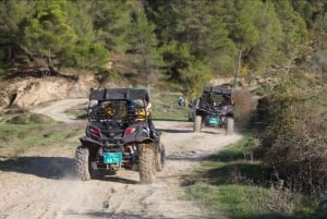 Tirana: buggytour met gids, snack en drankje