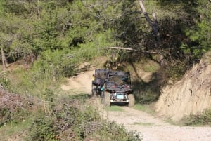 Tirana: buggytour met gids, snack en drankje