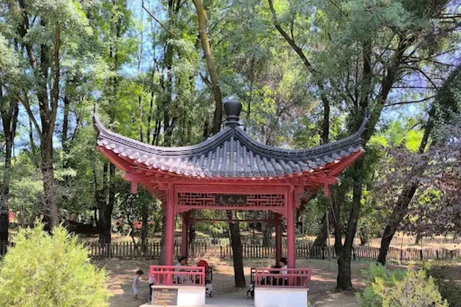 Tirana: Guidad stadstur med promenad i Grand Park och tågresa