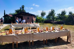 Tirana: Guidet omvisning til fots med Blloku-distriktet og Bunk'Art