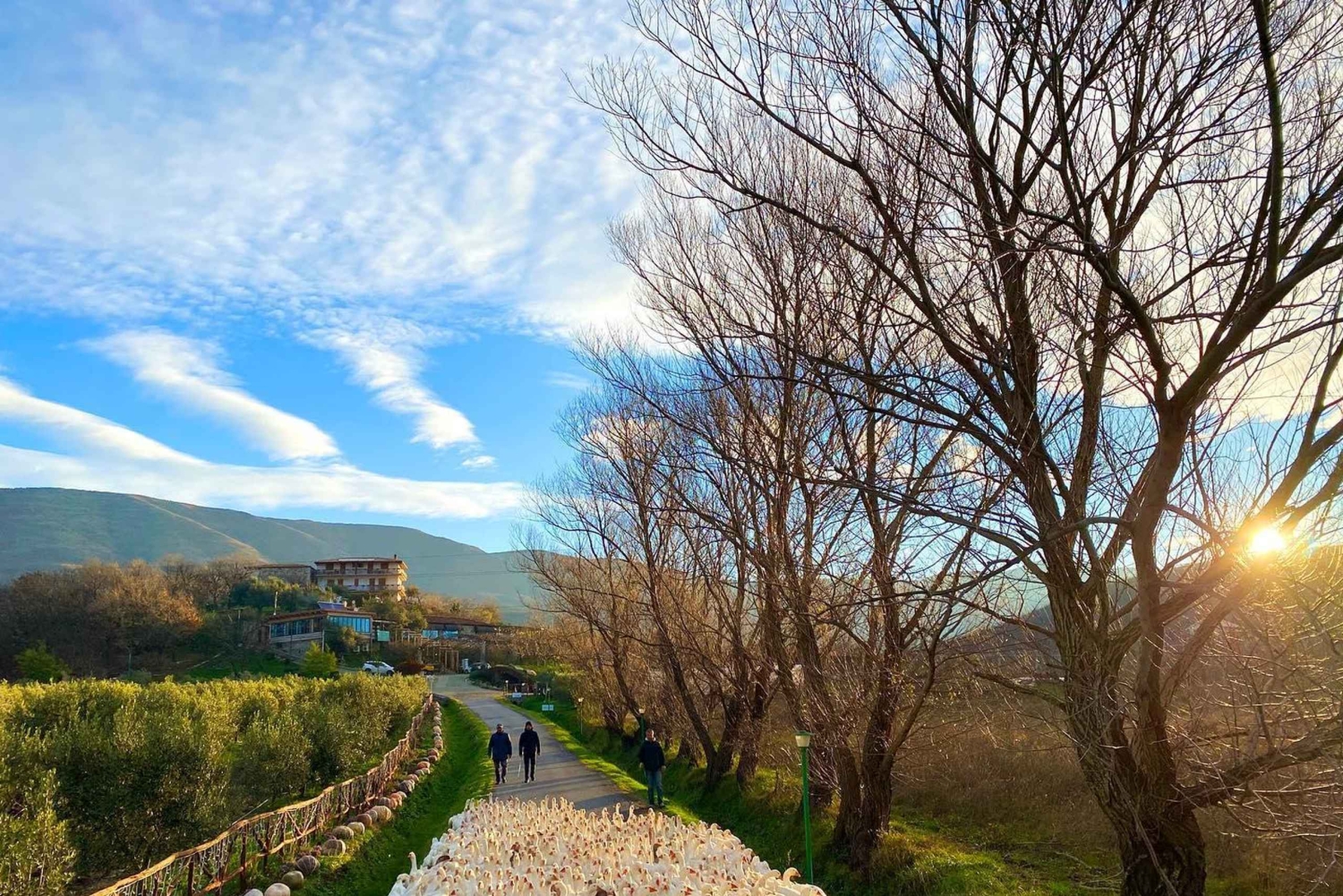 Tirana: päiväkierros Krujaan ja lounas suoraan maatilalta