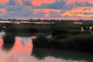 Tirana: Lezhë: Sightseeing, Kochkurs und Raki-Verkostung