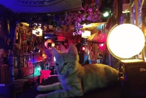 Tirana: Live Music Comfy Gathering With Troubadours