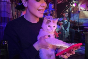 Tirana: Live Music Comfy Gathering With Troubadours