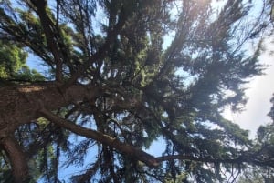 Tirana: Private Nachttour mit Kaffee und Cocktail