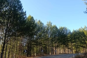 Tirana: Rubik, Puka, and Vau i Dejës Private Day Trip