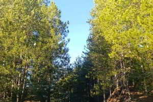 Tirana: Rubik, Puka, and Vau i Dejës Private Day Trip