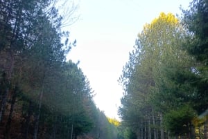 Tirana: Rubik, Puka, and Vau i Dejës Private Day Trip