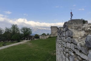 From Tirana/Durres/Golem: Berat & Belshi Lake, Day Tour