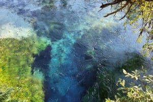 Tirana to Butrint&Blue Eye: Private day trip