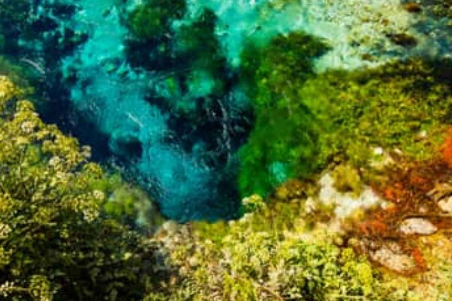 Guia de turismo e guia Blue Eye - Gjirokaster