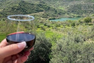 Clase de cocina tradicional y experiencia en una granja en Roshnik