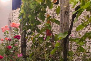 Traditional Food Tour,Dinner in a Local Garden(Eat as local)