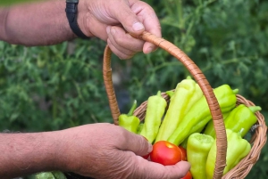 Traditional Food Tour,Dinner in a Local Garden(Eat as local)