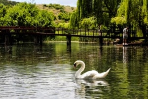 Tushemisht, Saint Naum og Ohrid-reisen: Underverkene ved innsjøen