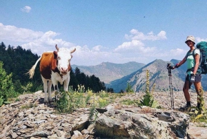 Ainutlaatuinen Albanian Alppien seikkailu,4x4 matka Valbonasta,Tropojasta käsin