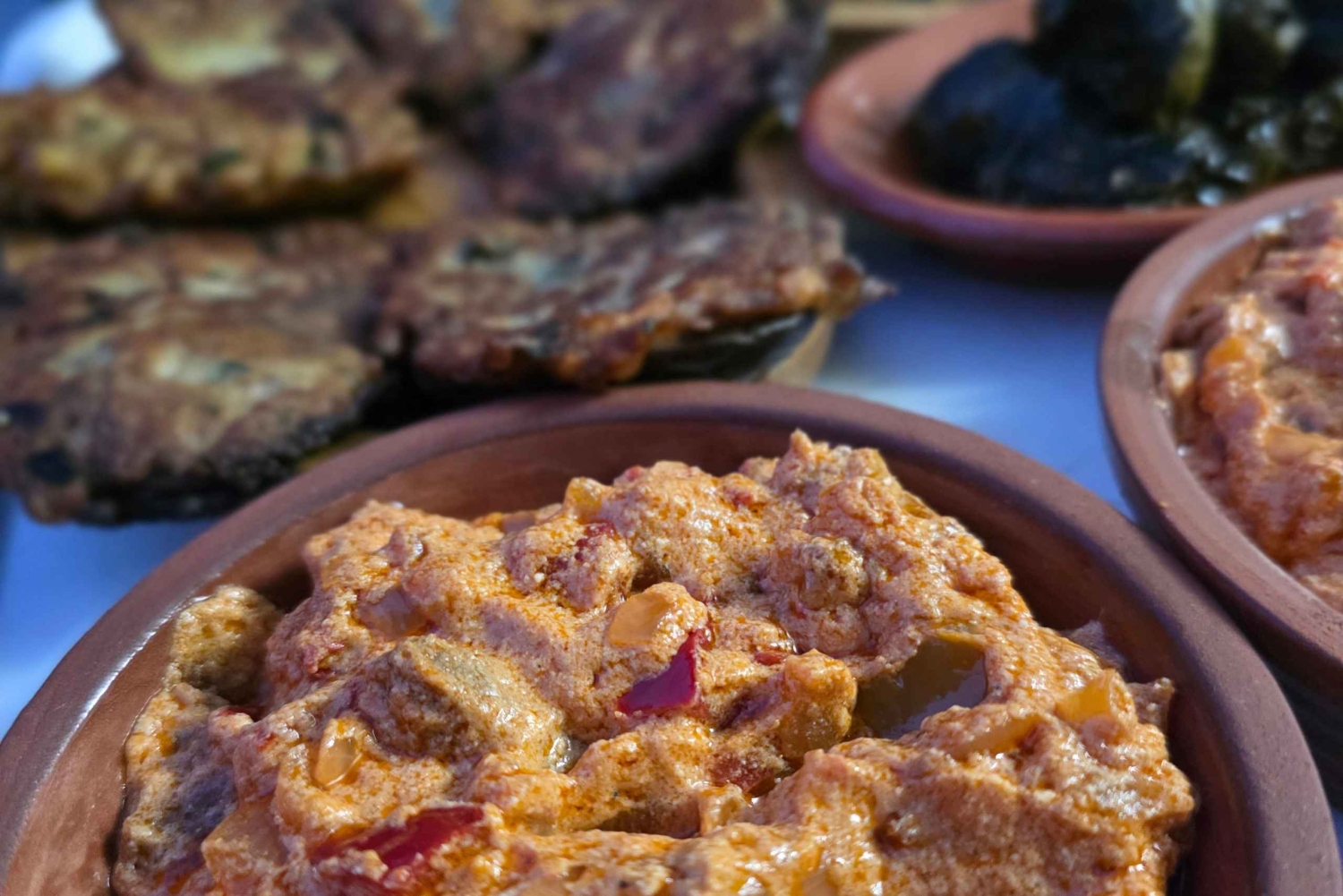 地元の庭園でのベジタリアンアルバニア料理ツアー – シュコダー