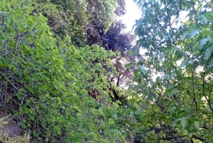 Wędrówka po wiosce Velça: wodospad Rasa i jaskinie