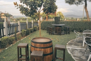 Vino & Vista : Le voyage viticole et le patrimoine culturel de Berat