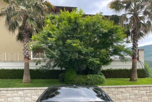 Transfert VIP de Tirana/Golem/Durres & de l'aéroport à Vlore.