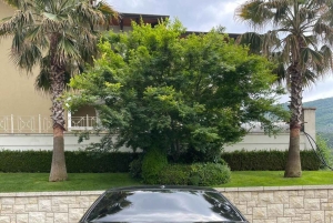 VIP Transfer från Tirana/Golem/Durres & Flygplats till Vlore.