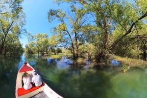 Virpazar: Amazon cruise and panoramic tour of Karuč