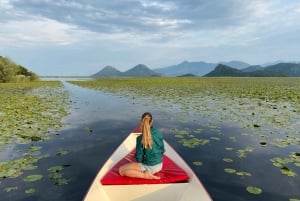 Virpazar: cruzeiro de lancha na selva amazônica