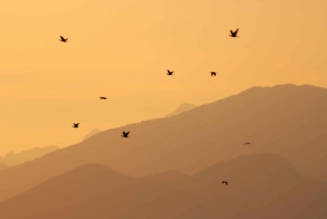 Virpazar: cruzeiro de lancha na selva amazônica