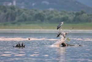 Virpazar: cruzeiro de lancha na selva amazônica