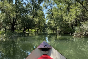 Virpazar: cruzeiro de lancha na selva amazônica