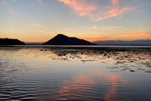 Virpazar: cruzeiro de lancha na selva amazônica